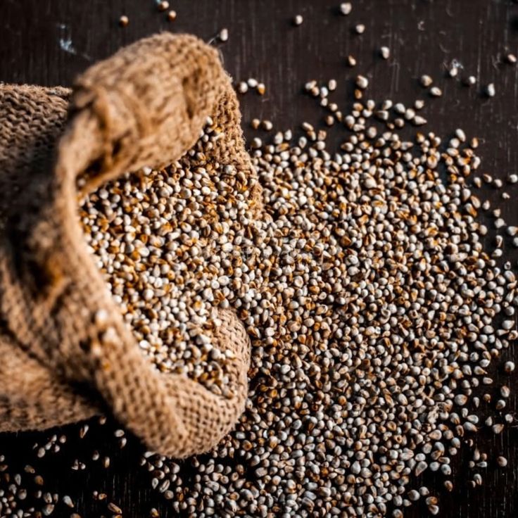 Pearl Millet (Bajra)